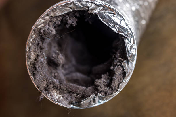 Best Professional Duct Cleaning Services  in Jackson, TN